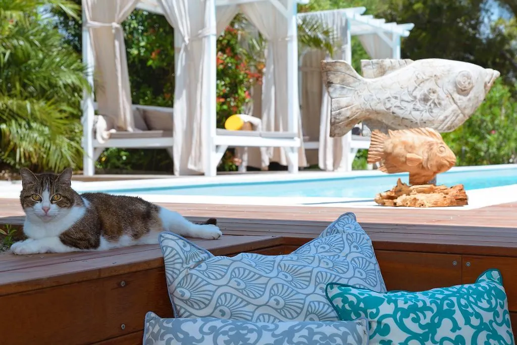 Mediterranea Luxury House Quercianella